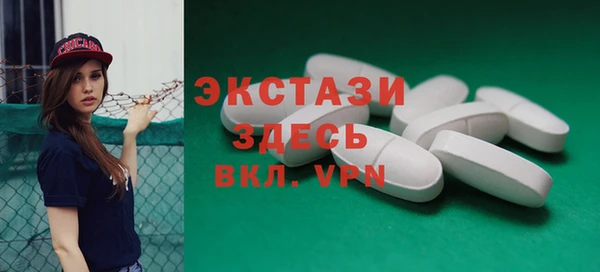 прущие грибы Новосибирск