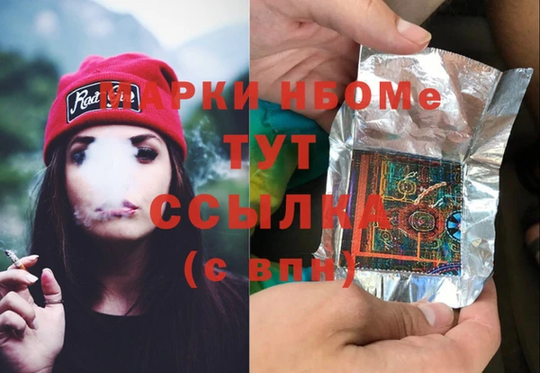 прущие грибы Новосибирск