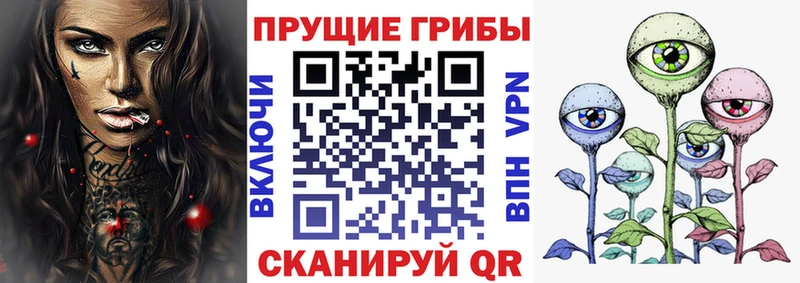 наркотики  Шилка  KRAKEN tor  Галлюциногенные грибы MAGIC MUSHROOMS 